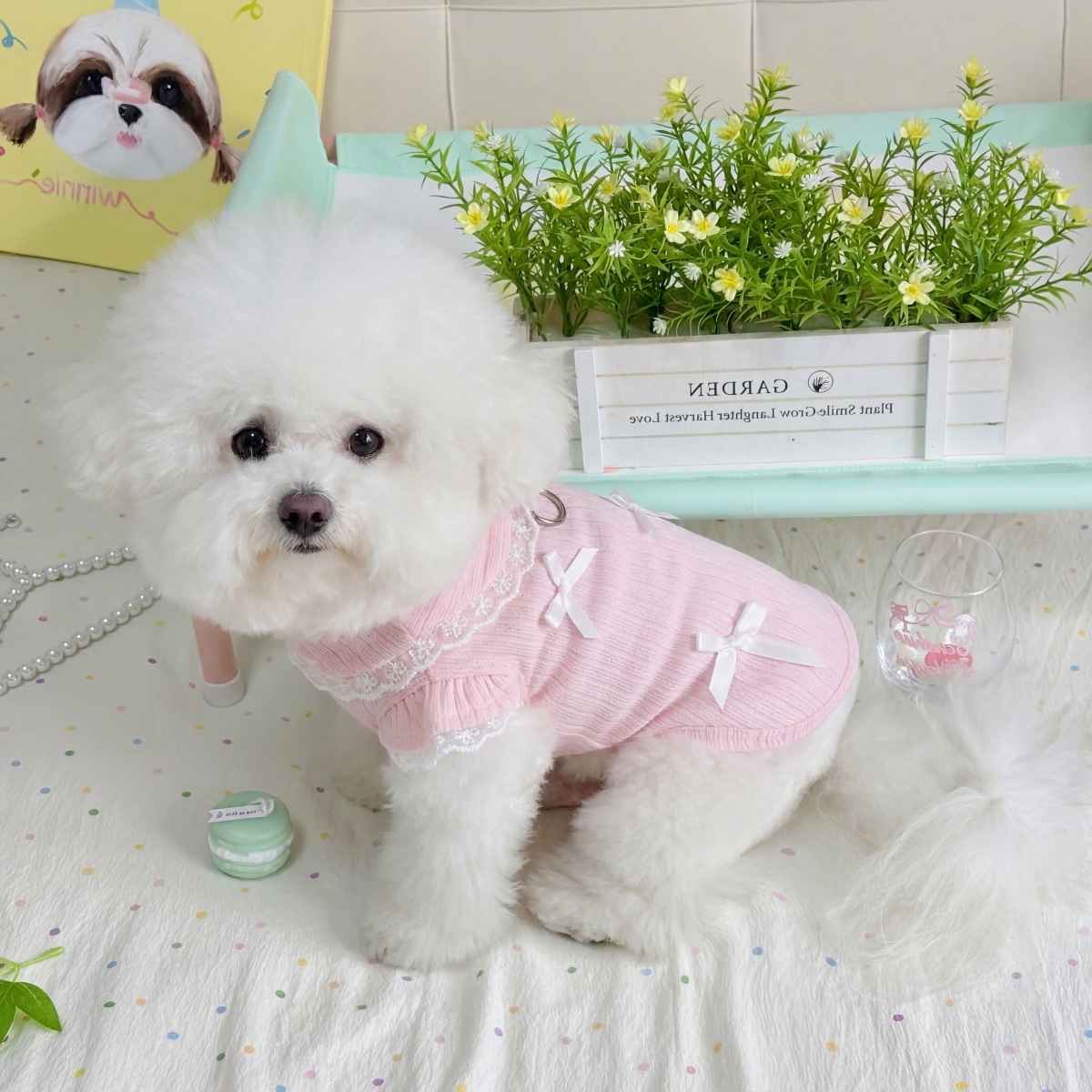 Pet Spring Lace Bow Vest Can P - Lace Teddy Lingerie avis et prix